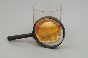 Drowned human brain in glass of whiskey under magnifying glass. Alcohol addiction concept.