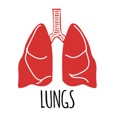 Lungs illustration on white background. Flat style.