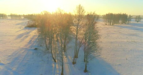 Aerial drone view of cold winter landscape with arctic field, trees covered with frost snow and morning sun rays over horizon. Extreme weather.