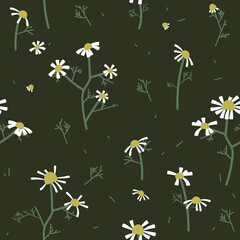 Seamless pattern with flowers chamomiles. Vector illustration - 638314859