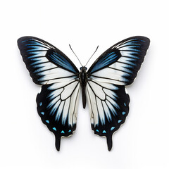 Swallowtail butterfly on white background.  3D illustration digital art design, generative AI
