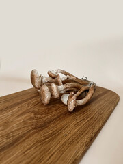 Mushrooms are lying on a wooden board. Autumn forest still life in beige colors