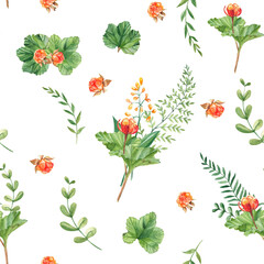 Seamless watercolor pattern with cloudberry leaves and berries, fern, green branches, yellow wildflowers. Botanical summer hand drawn illustration. Can be used for gift wrapping paper, kitchen textile