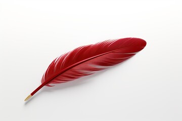 Red feather on white background