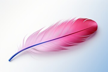 abstract colorful feather on white background