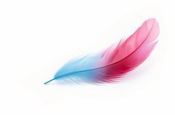 abstract colorful feather on white background