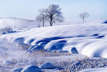 凍てついた朝（更別村） © itoh masako