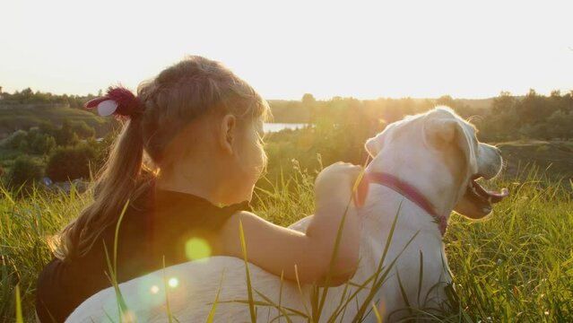 Child girl with Labrador dog on green grass at sunset