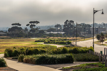Fototapeta premium Clifton Springs Misty Morning