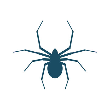 Spider svg cut file. Isolated vector illustration.