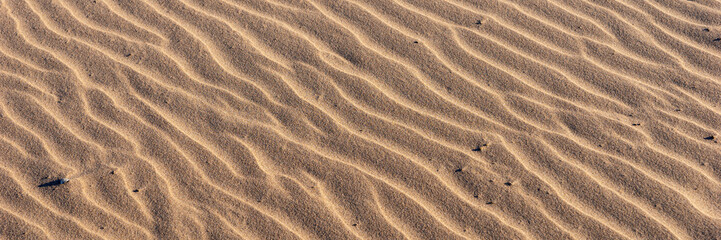 Panoramic image. Wavy sandy background. Beach sand texture