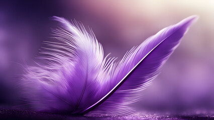 Fototapeta premium Purple feather background.