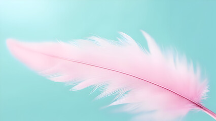 pink feather background. 