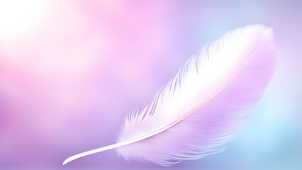 purple feather on a purple background
