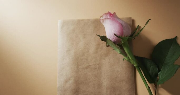 Video of pink rose with brown envelope and copy space on yellow background
