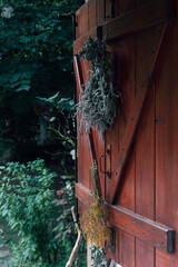 Harvested herbs St. John's wort herb and mint hang on wooden shutters