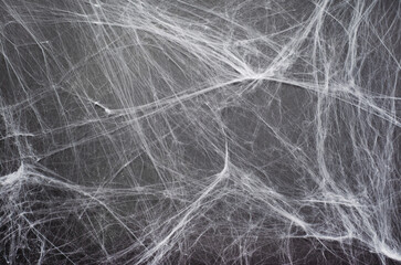 Cobweb on Grey Background, Abstract Texture, Halloween Design, Spider Web Texture