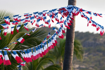 French flag bunting for Bastille day