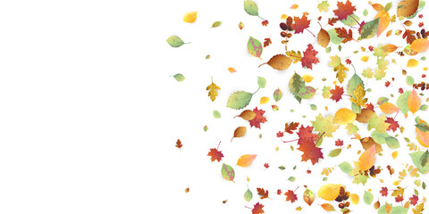 Leaves Falling Autumn Foliage Chaotic Leaf Flying