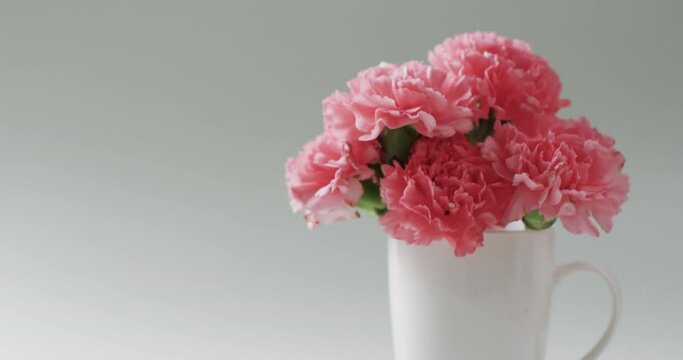 Video of bunch of pink flowers in white mug and copy space on white background