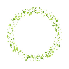 Leaves Green Falling Flying Foliage Leaf Tea Mint