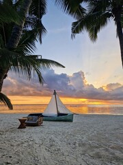 beach with palm trees