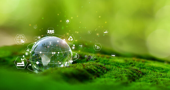 Glass globe in green forest with the icon environment of ESG, co2, circular company, and net zero. Technology Environment, Organization Sustainable development environmental.