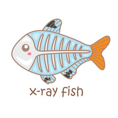 Alphabet X For X-Ray Fish Vocabulary School Lesson Reading Cartoon Illustration Vector Clipart Sticker