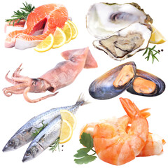 Fresh seafood isolated