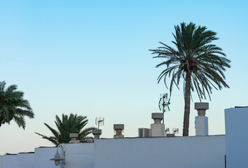 Fototapeta na wymiar rooftops of coastal houses with palm trees and blue sky