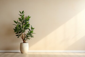 Beautiful house plant in the pot on wooden floor set beside the wall with sunbeam and shadow on biege empty wall. Background, mockup backdrop. Green houseplant decoration. Products overlay