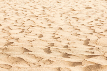Natural sand texture. Yellow sand on the beach. Wavy sand background for summer designs. Selective focus.