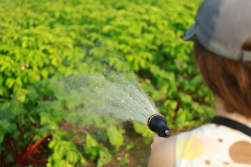 the girl waters the garden in hot weather.