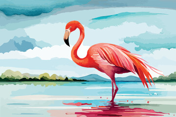 Flamingo in water