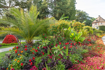 Beautiful plants in a park in Mainau in Germany