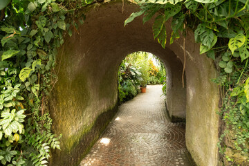 Tunnel in the tropical house in Mainau in Germany
