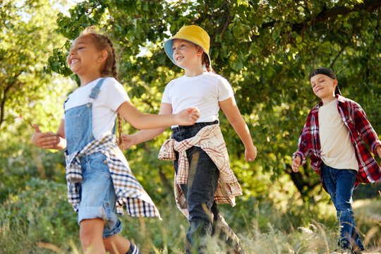 Positive, playful children, boys and girls in casual clothes going hiking, walking on path in forest on warm, sunny day. Leisure activity, childhood, summer, friendship, active lifestyle, fun concept