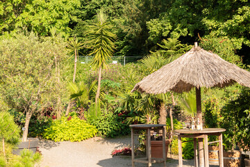 Fototapeta na wymiar Botanical garden in Mainau in Germany
