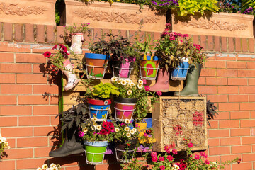 Fototapeta na wymiar Flowers in pots in Mainau in Germany