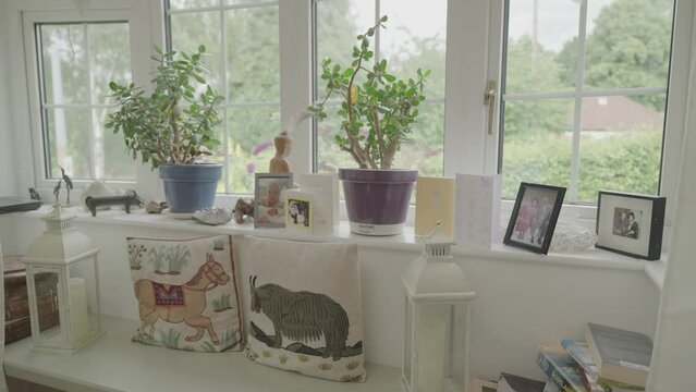 Potted plants and photography on window sill