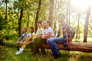Cheerful playful kids sitting on log in forest on sunny day. Going hiking, walking, having active weekends. Concept of leisure activity, childhood, summer, friendship, active lifestyle, fun, nature