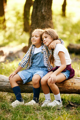 Beautiful, happy children, girls sitting on log, hugging, having good time in forest on sunny day....