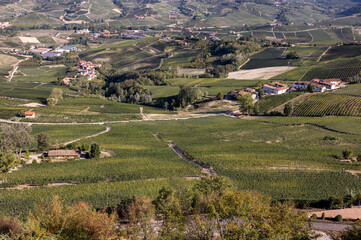 Obraz premium View of Langhe vineyards from La Morra, UNESCO Site, Piedmont, Italy