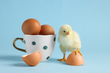 Cute chick, cup with eggs and pieces of shell on light blue background, closeup. Baby animal