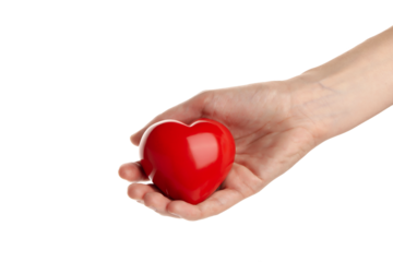 PNG, red heart in hand. Blood donation, isolated on white background