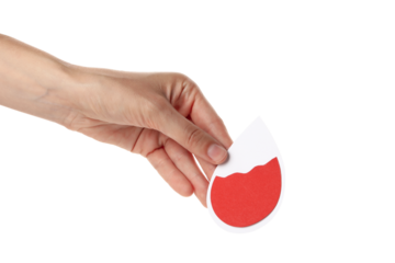 PNG,a paper drop of blood in the hand. Blood donation,isolated on white background