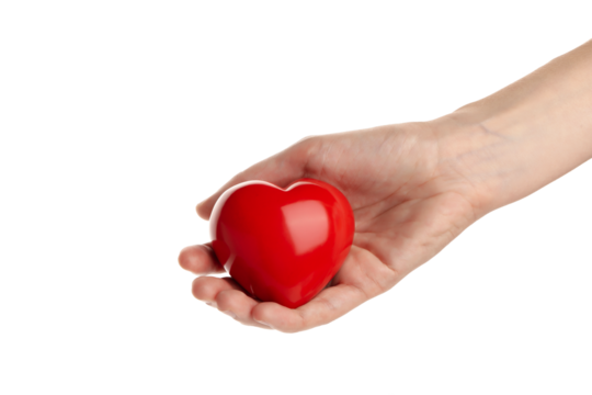 PNG, red heart in hand. Blood donation, isolated on white background
