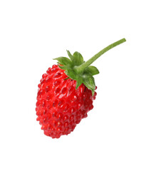 One ripe wild strawberry isolated on white