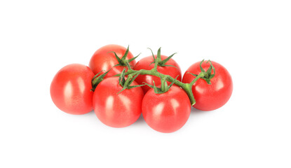 Branch of red ripe cherry tomatoes isolated on white