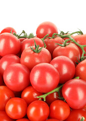 Many fresh ripe cherry tomatoes with water drops isolated on white